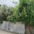 YÜREGİR SERİNEVLER MAHALLESİ DEVLET HASTANE CİVRINDA