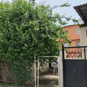 YÜREGİR SERİNEVLER MAHALLESİ DEVLET HASTANE CİVRINDA