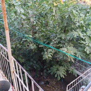 BAHÇELİ EVLER MAHALLESİ SATILIK DAİRE